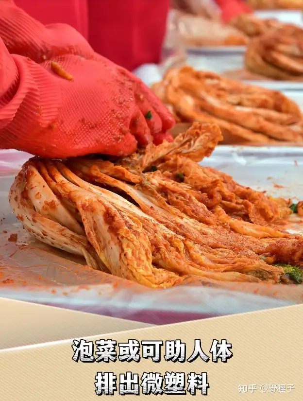 韩国研究称泡菜或可助人体排出微塑料，这一结论背后的科学机制是什么？这对微塑料健康风险防控研究有何意义？