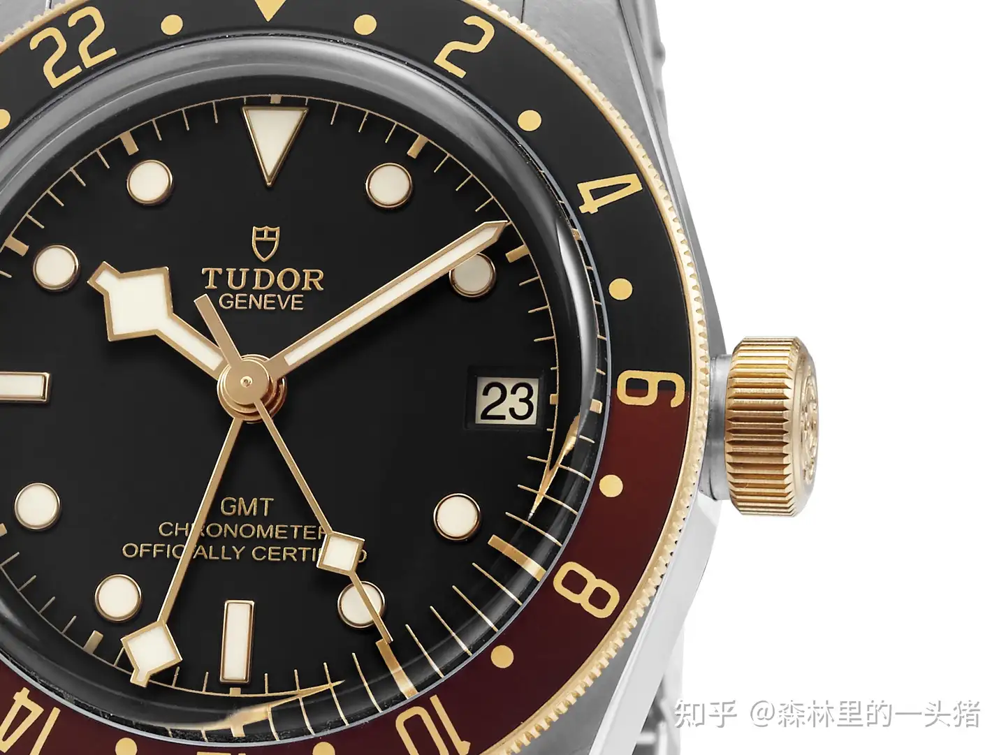 入荷予定入荷予定TUDOR 化粧箱 その他 | blog.connectparts.com.br