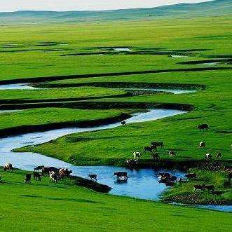 内蒙古高原