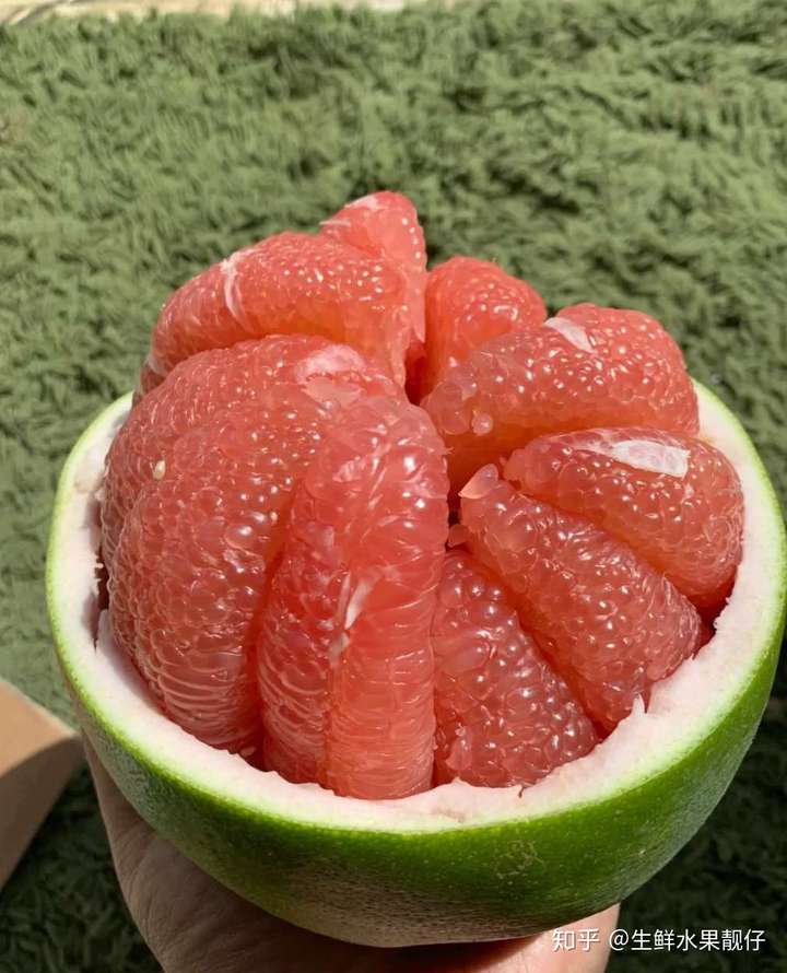 koolaid柚子图片