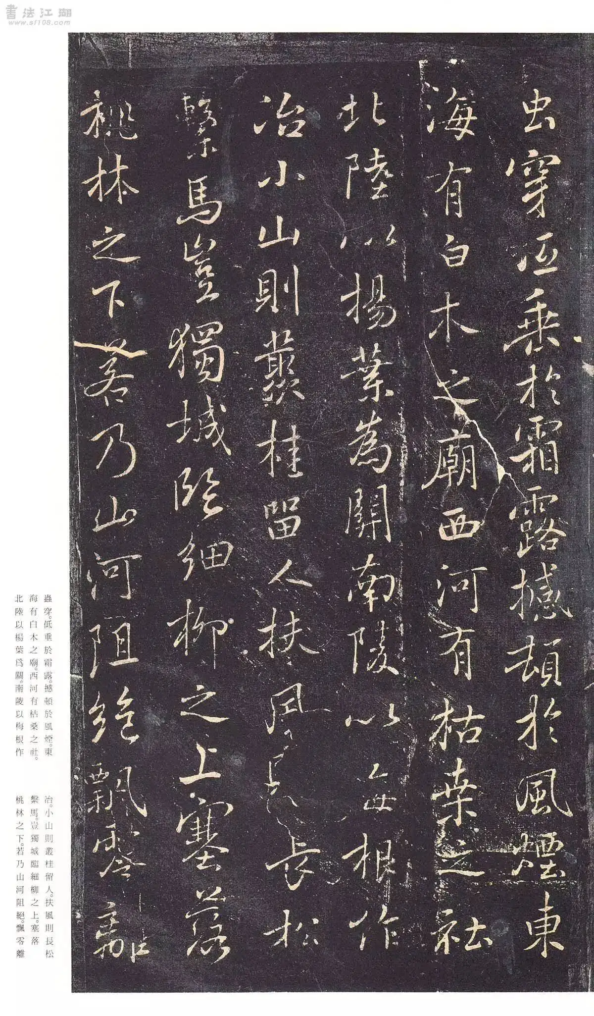 y*n様 原色法帖選21 褚遂良 枯樹賦 哀冊 二玄社 解説付き 原色法帖選 21巻 枯樹賦・哀冊 遂良/二玄社/中国書道