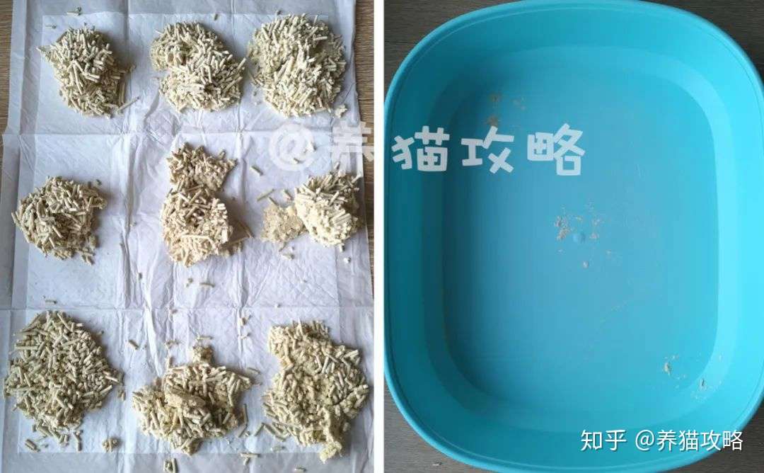 猫砂测评 哪款豆腐砂最好用 看完不再花冤枉钱 知乎