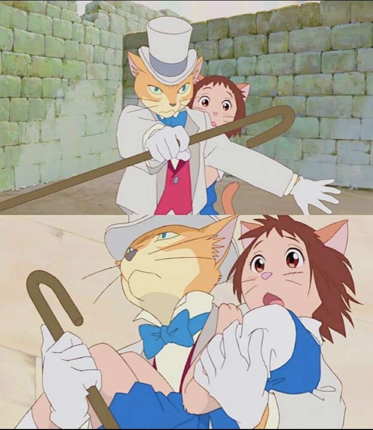 晓晓尘埃 的想法: 这几天在重温宫崎骏漫画《猫的报恩》,以… - 知乎