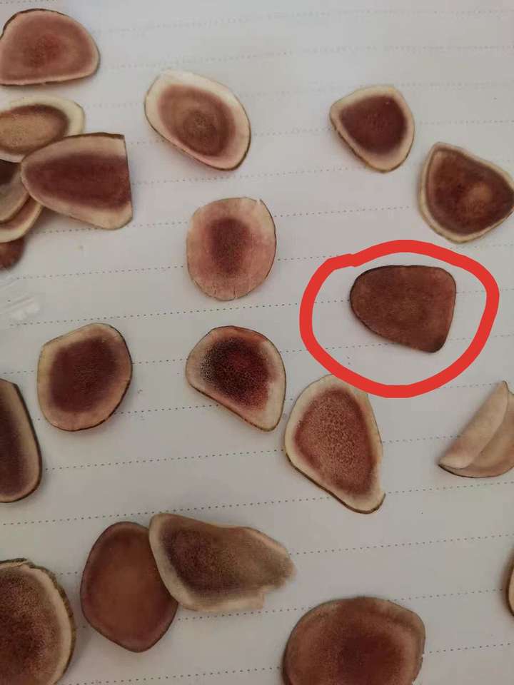 毕竟,之前笔者遇到过假鹿茸,造假所使用的原料,整个都跟鹿没关系.