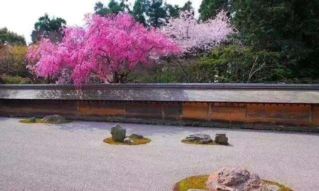 9大枯山水庭院 你想要去的都在这里了 知乎