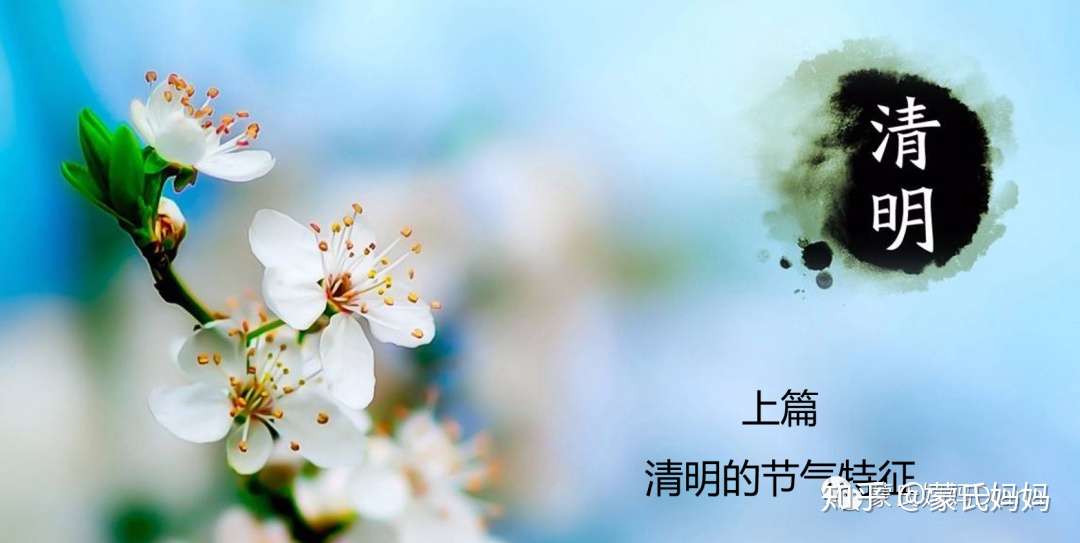 写给孩子的二十四节气启蒙课 清明 上 知乎