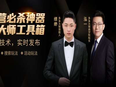 图片[2]-多多大师泓一弟子班拼多多实操陪跑特训营2025年6月(价值4999元)_-每日必学网