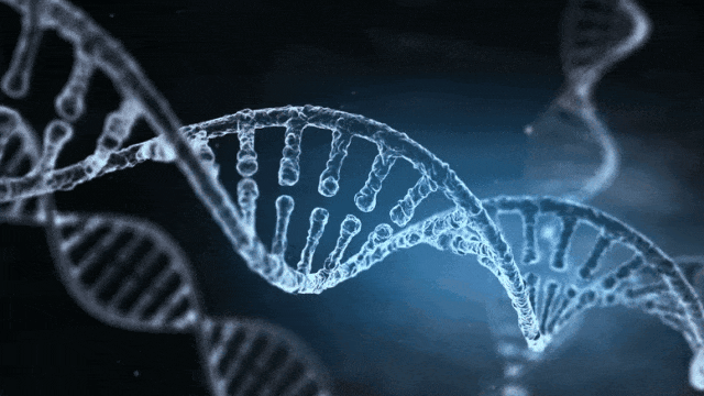 谷歌AlphaGenome横空出世！40亿年生命代码一键破解，或再夺诺奖