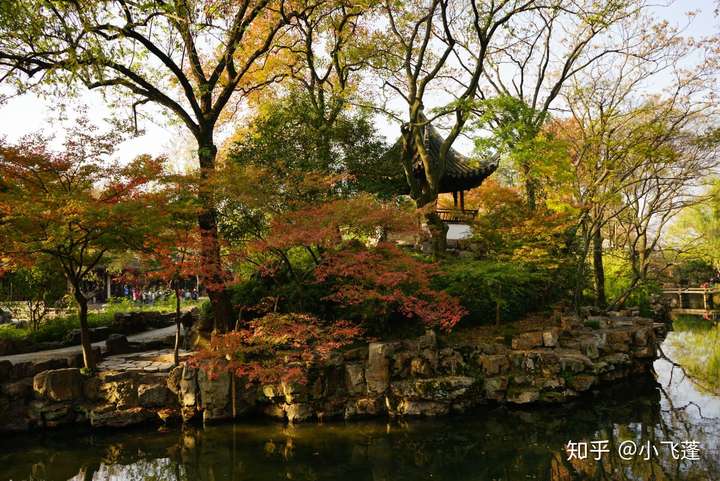 树林包围的待霜亭