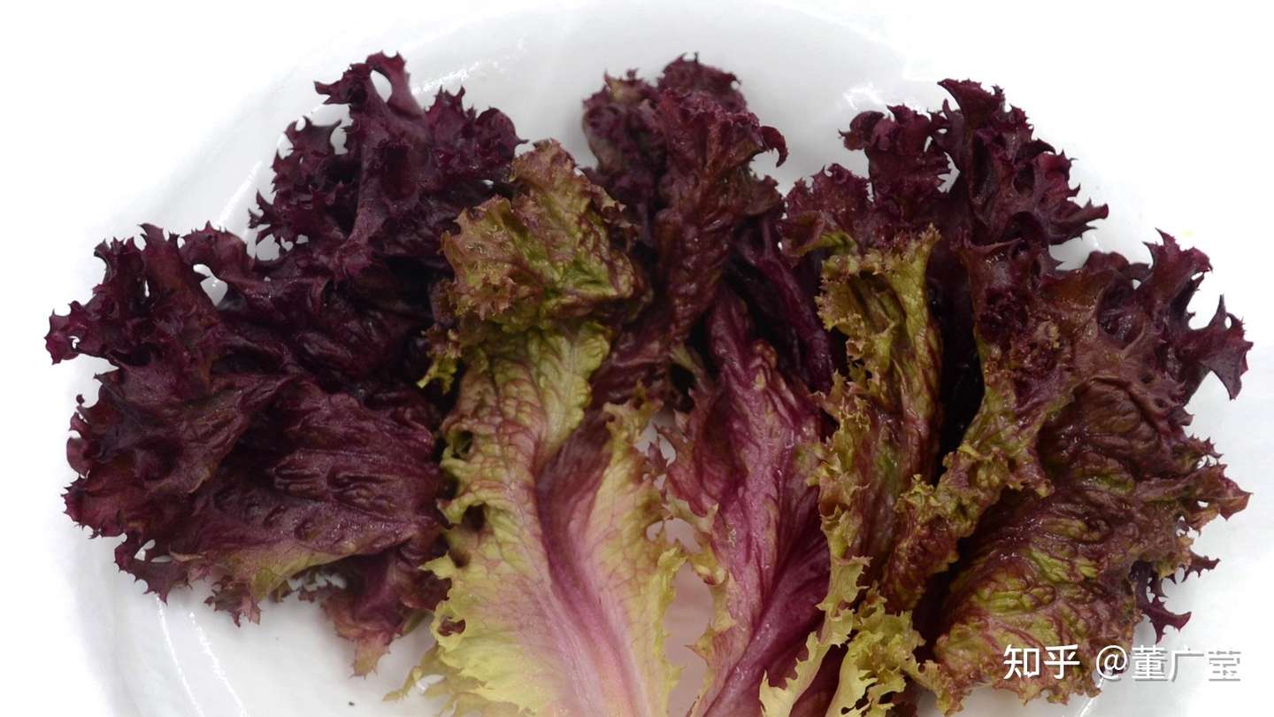 还不知道这35种紫色蔬菜你太亏了 富含花青素 营养又美味 赶紧选几种趁着过年大显身手吧 过个健康年 知乎