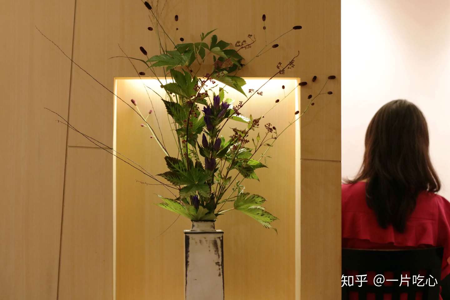 不能出国的日子里怀念这真诚的美食 知乎 不能出国的日子里怀念这真诚的美食 知乎