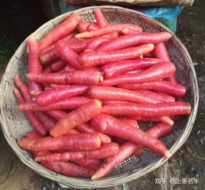 各种蔬菜瓜果分别在什么时候传入中国？