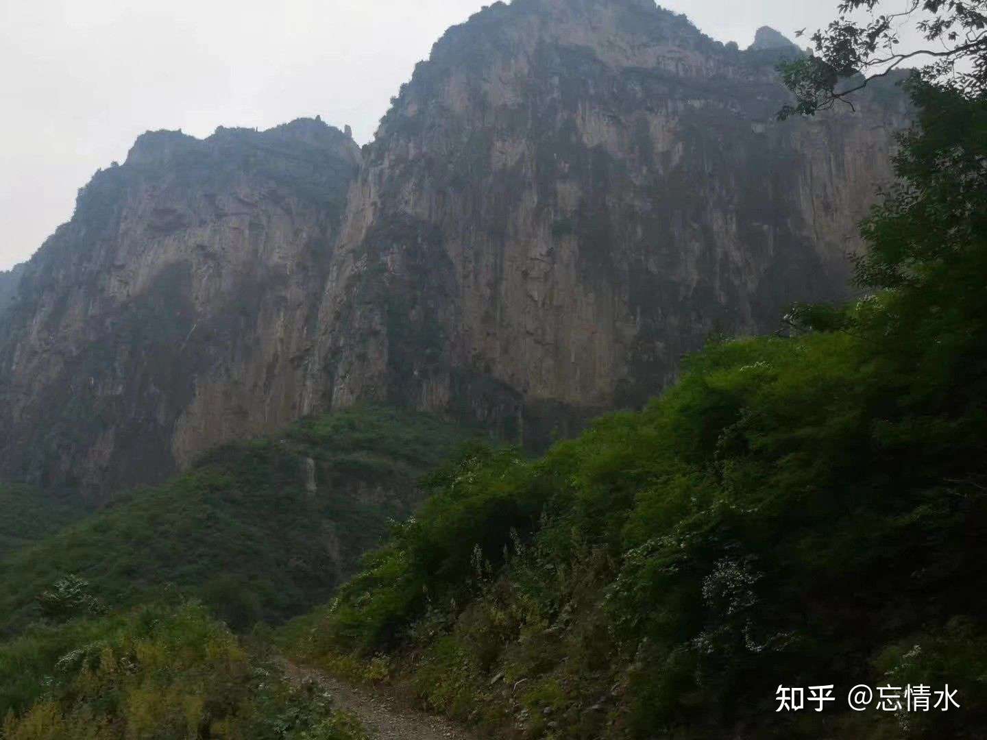 忘情森舞山 知乎