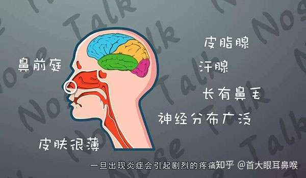 首大冯文凤 这竟然是鼻前庭炎的信号 你绝对想不到 知乎