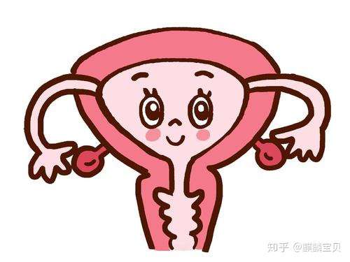 做试管必须要做宫腔镜吗?插图(4) v2-87b09c1382121d7a67c8b7bf4741960c_720w.jpg插图(4)