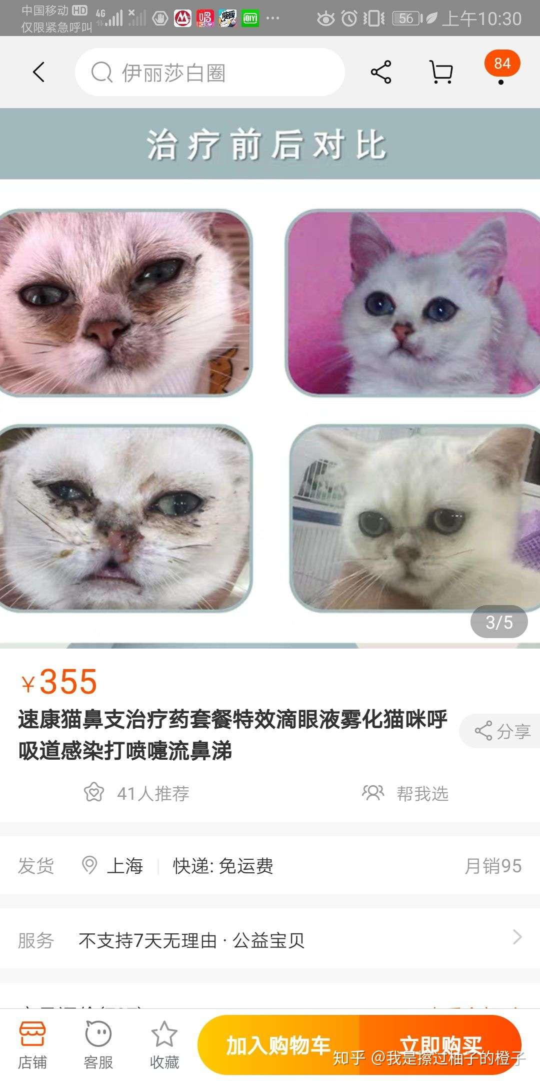 猫鼻支治疗详细教程 含用药 一个初级铲屎官和猫鼻支战斗的一个月 知乎