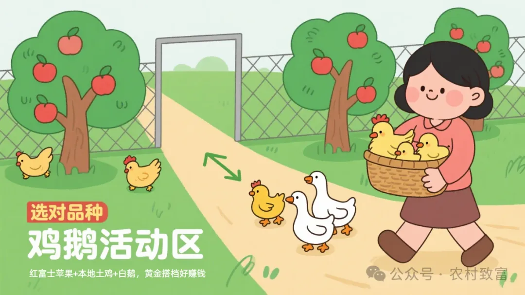 图片[2]-农村致富公众号：生态果园立体种养-树上摘果，树下养禽，一年多赚10万+开创农村致富路-墨铺