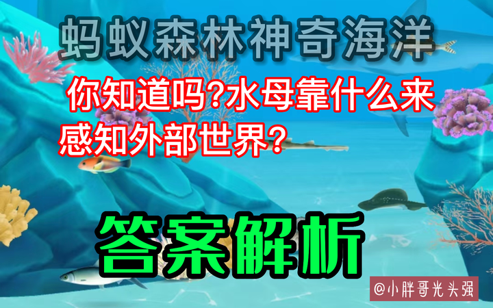 水母靠什么来感知外部世界（水母身上95%都是水）