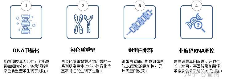 基于ngs的表观遗传学 atac wgbs chip seq等9大利器一网打尽 知乎
