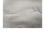 北师大2011课标版(闫金铎主编)初中物理八年级上册二、光的反射公开课优质课课件教案视频