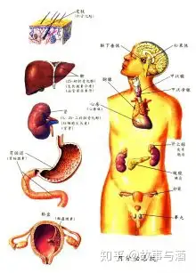 选锅泌锈 - 臭帖登昧(图1)