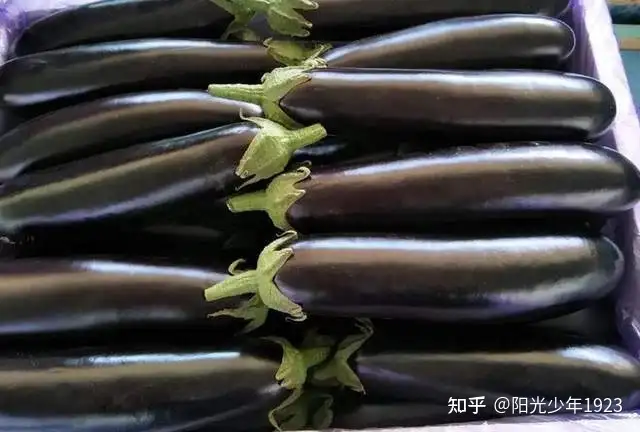 夏至“吃凉不吃寒”，少吃2种水果，多吃4种蔬菜，清爽解暑不上火