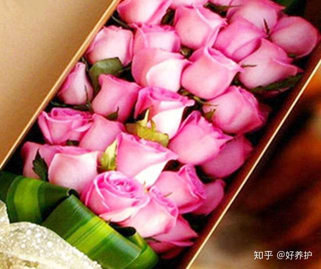 5种适合献给老师的鲜花 推荐 知乎