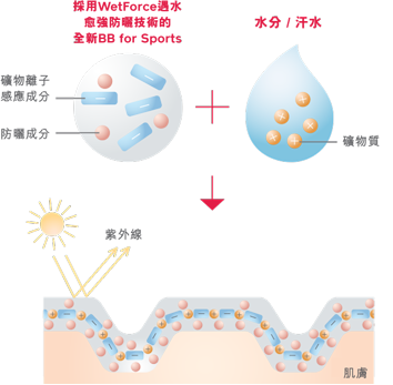 资生堂胖子防晒产品介绍 知乎