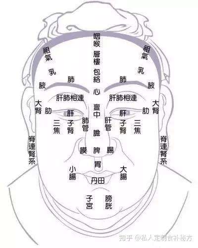 中医诊断面诊望