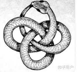 或者像是一个莫比乌斯环 一个无始无终的互为因果的轮回结构.