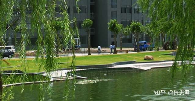 同为华东985名校 同济大学和东南大学谁能跻身华东 六校 知乎