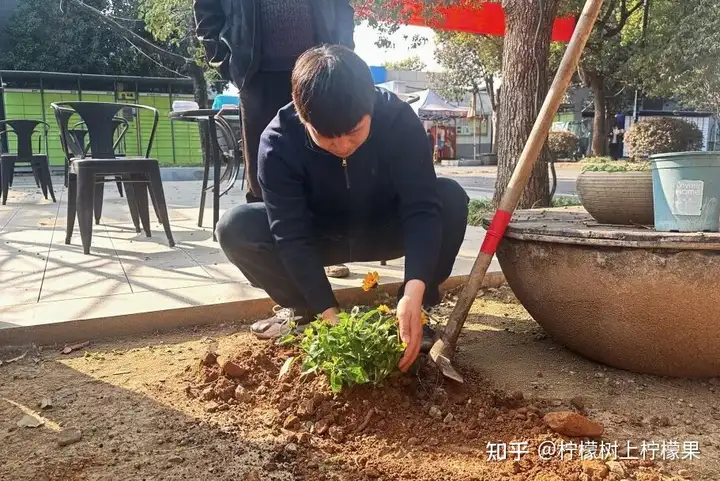 共植青綠夢 筑夢“五色”園丨富陽校區(qū)植樹節(jié)主題活動(圖4)