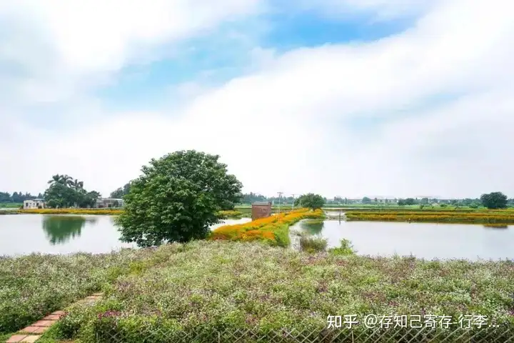 到广东佛山旅游，哪些景点值得打卡？