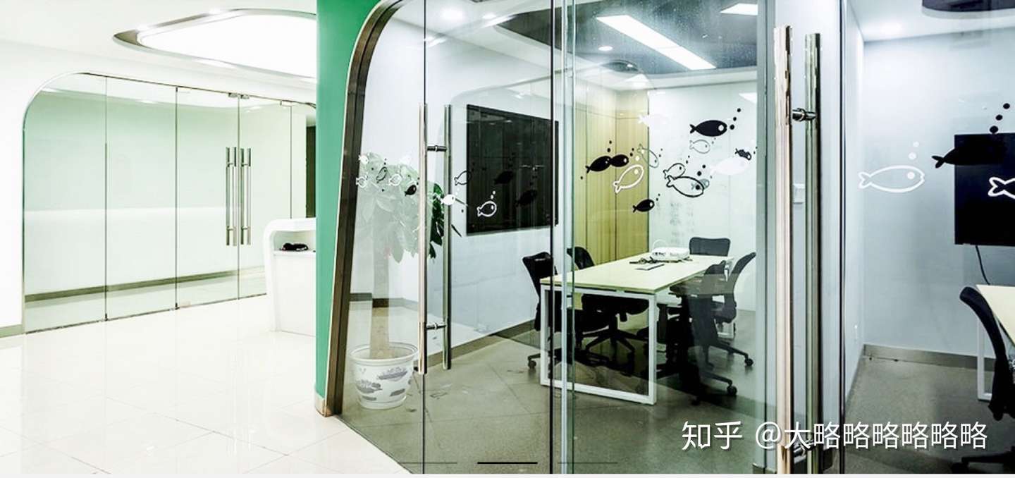 扇贝实习 知乎