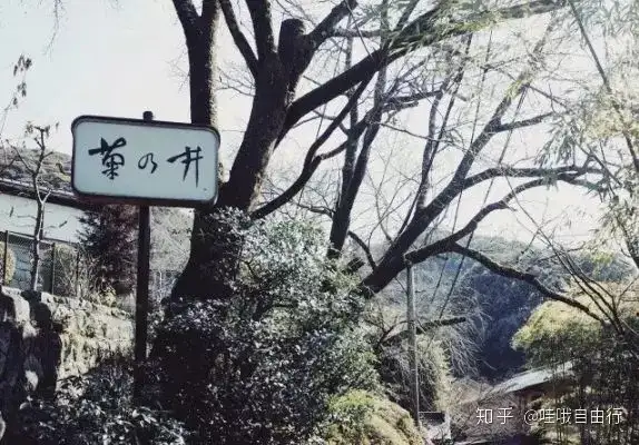 燃爆了(京都日本料理)京都餐厅推荐2023已更新 第1张