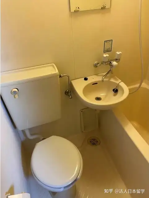 达人日本,日本留学