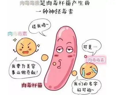 肉毒素是一种由肉毒杆菌产生的神经毒素,一般包括7种抗原型,效力最强