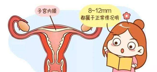 子宫环境跟试管成功率关系大吗?插图(2) v2-8e75219c627c1b3963db7fe1ac79f432_720w.jpeg插图(2)