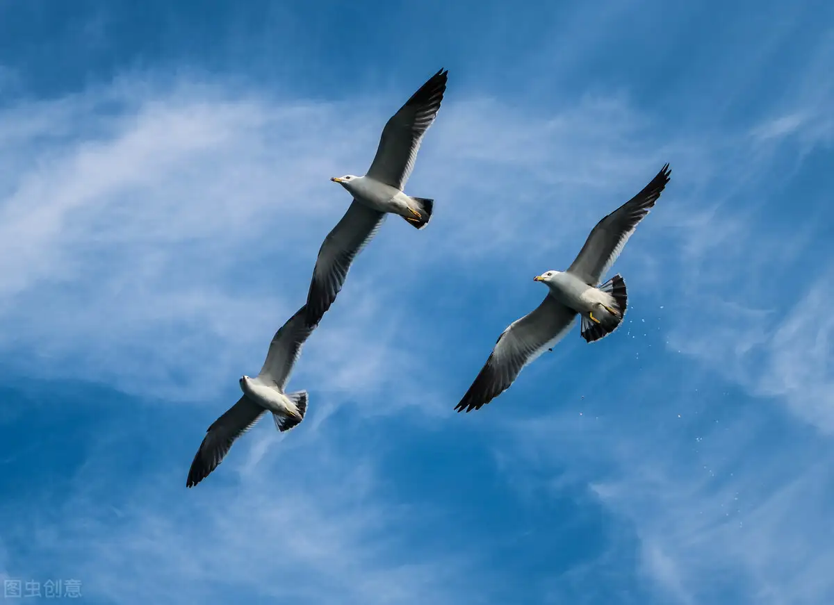 庄子《大宗师》：其耆欲深者，其天机浅- 知乎