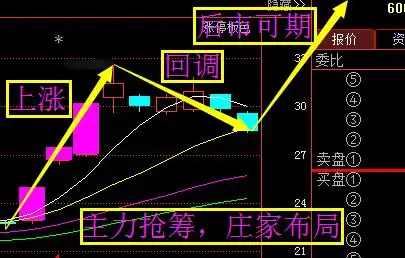 43歲女股神看破股市揭秘陰線買入法股民不要再上莊家的當