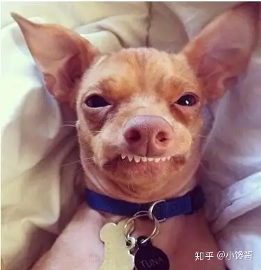 龅牙凸嘴怎么改善侧脸