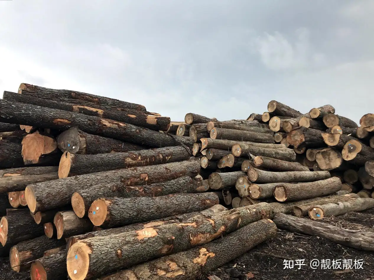 黒檀・紫檀の床柱無垢材アウトレット品 鴨居・框含む