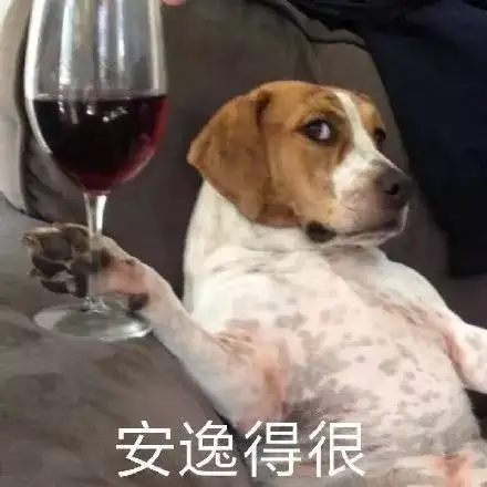 和巴菲特共进午餐的孙宇晨是谁?