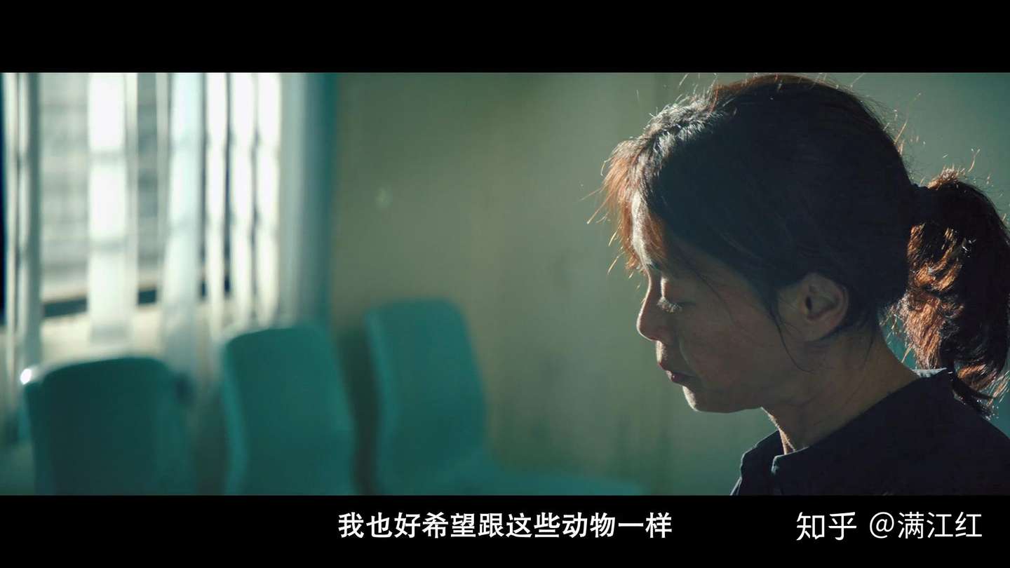 阳光普照 这是19年最惊心动魄又回味无穷的华语电影 没有之一 知乎