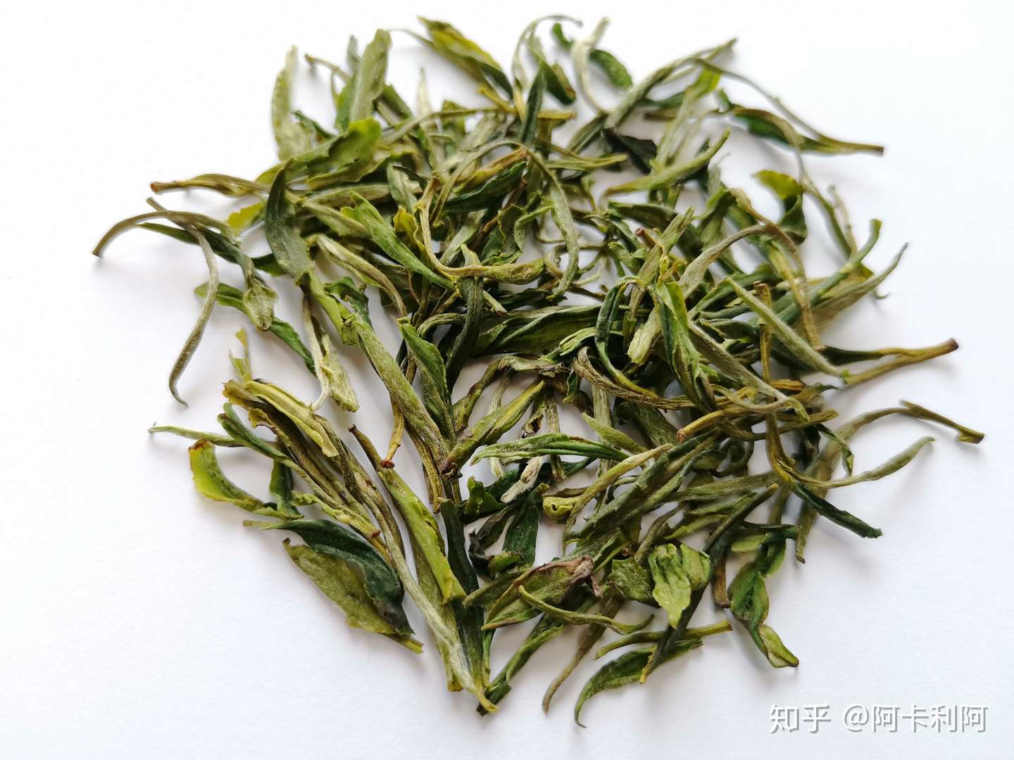 绿茶之黄山毛峰 谢裕大 知乎