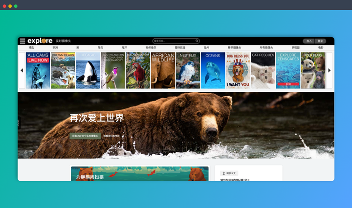 Explore.org:一个可以查看全球动物直播的网站,能够近距离观察野生动物的日常生活