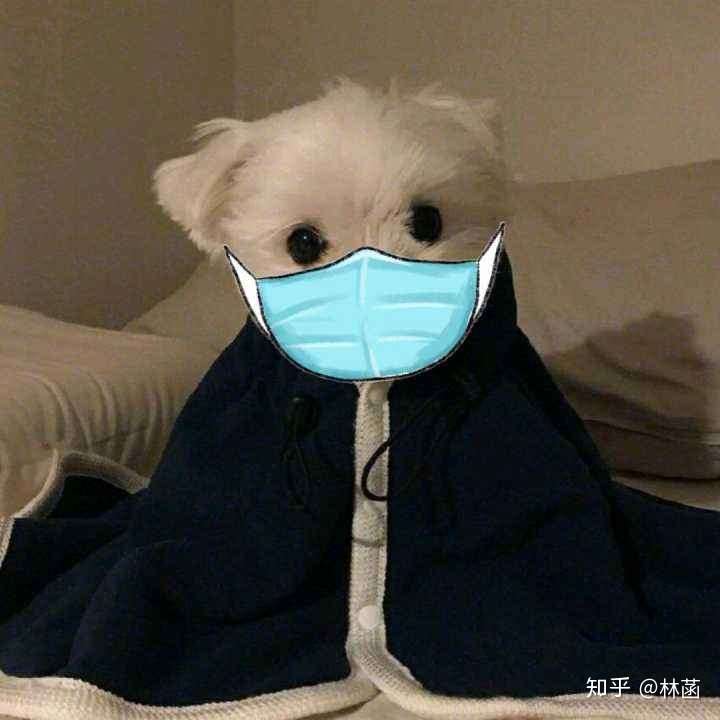 怎么样防止戴口罩长痘痘?