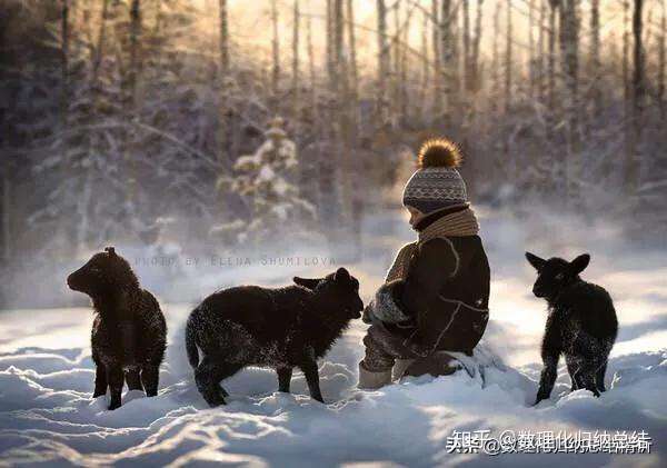 高中生必读 高中生物学习复习指南 知乎