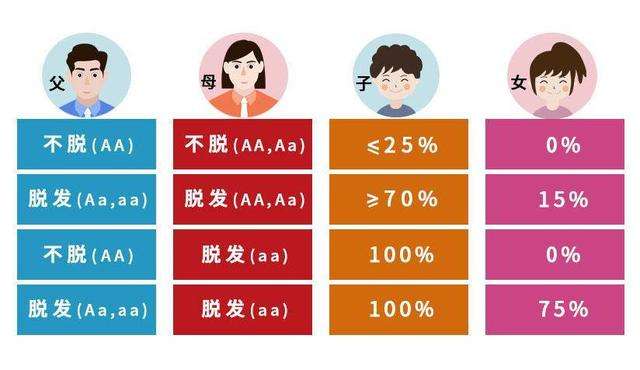 只要你的家人中有一个有秃顶的现象