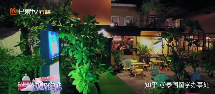 一篇读懂(妻子的浪漫旅行泰国打脸视频播放)妻子的浪漫旅行泰国打脸视频全集2023已更新 第17张